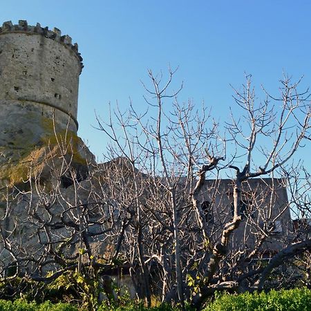 L'Agrumeto Forio di Ischia エクステリア 写真