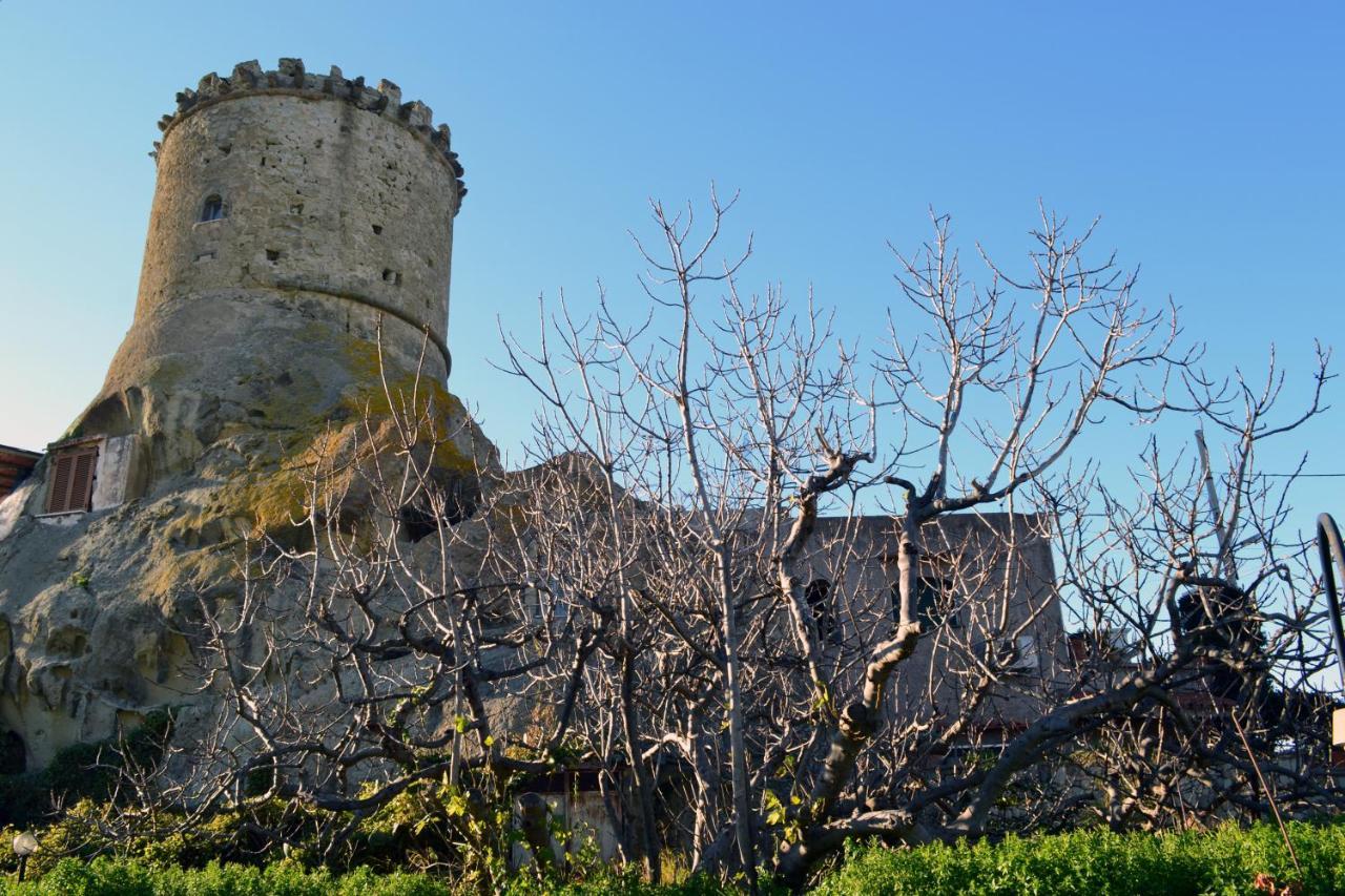L'Agrumeto Forio di Ischia エクステリア 写真